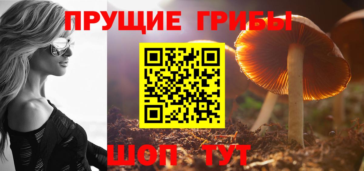 Северобайкальск  Галлюциногенные грибы Psilocybine cubensis  Галлюциногенные грибы Psilocybe  Вход с VPN 