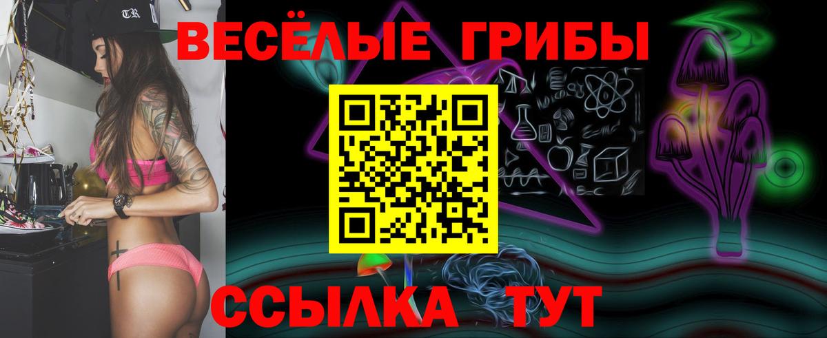 Псилоцибиновые грибы Cubensis Северобайкальск