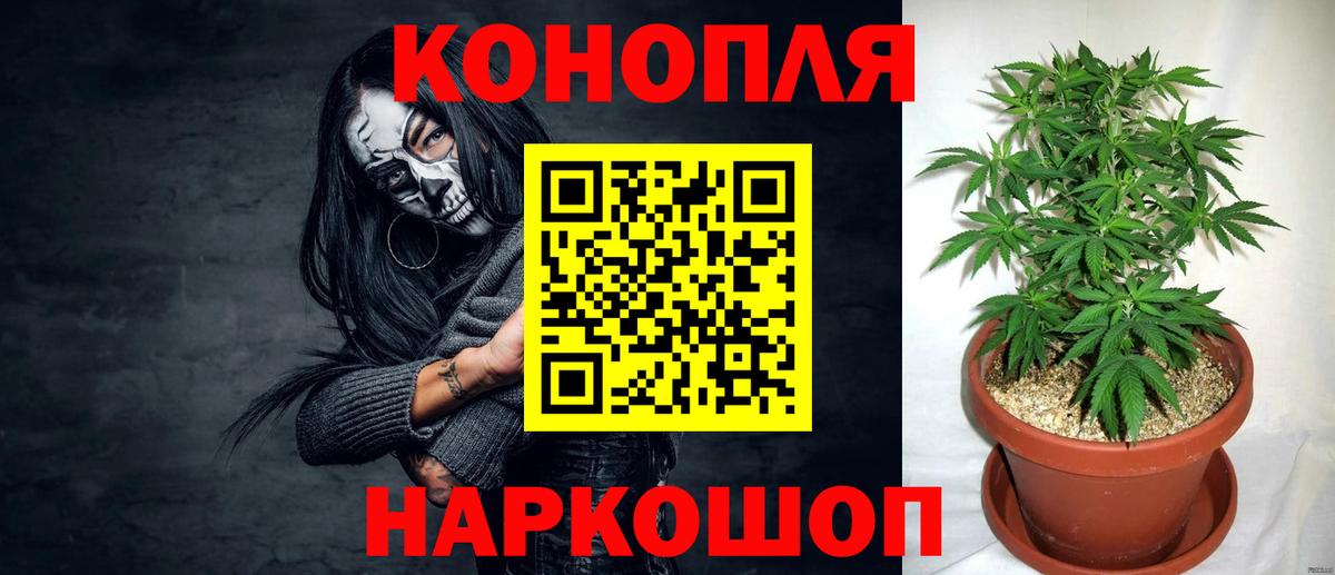 Канабис гибрид  Бошки Шишки VHQ  Марихуана ГИДРОПОН  Северобайкальск  Вход с VPN 
